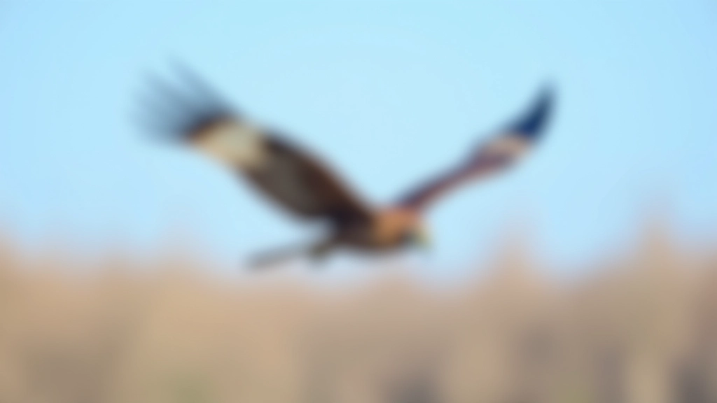 Bird's-eye view of a marsh harrier in flight over wetland vegetation, wings spread wide against clear blue sky during migration season